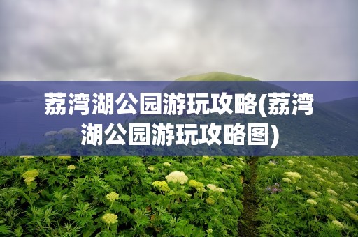 荔湾湖公园游玩攻略(荔湾湖公园游玩攻略图)