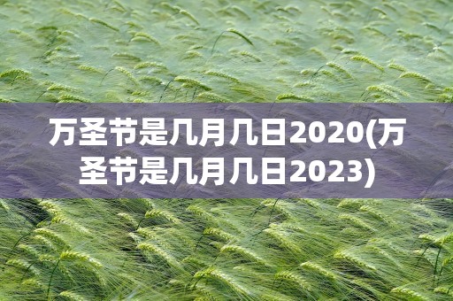 万圣节是几月几日2020(万圣节是几月几日2023)