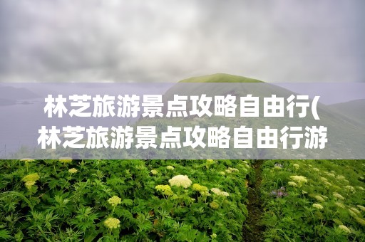 林芝旅游景点攻略自由行(林芝旅游景点攻略自由行游)