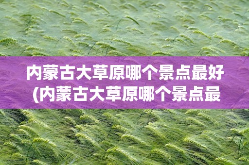 内蒙古大草原哪个景点最好 (内蒙古大草原哪个景点最好)