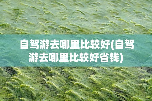 自驾游去哪里比较好(自驾游去哪里比较好省钱)