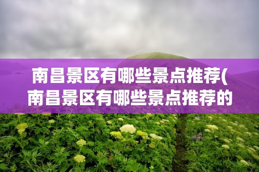 南昌景区有哪些景点推荐(南昌景区有哪些景点推荐的)