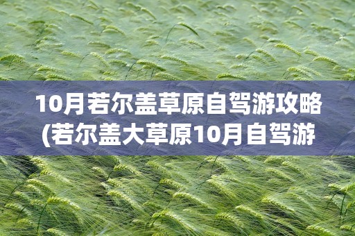 10月若尔盖草原自驾游攻略(若尔盖大草原10月自驾游攻略)