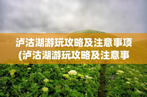 泸沽湖游玩攻略及注意事项(泸沽湖游玩攻略及注意事项视频)