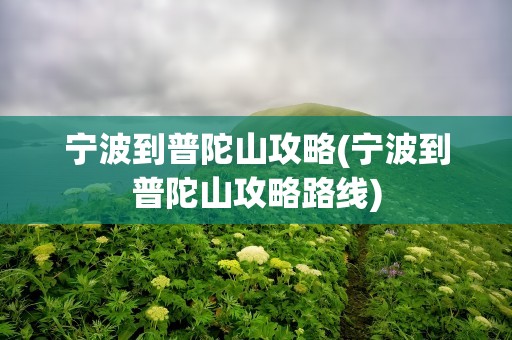 宁波到普陀山攻略(宁波到普陀山攻略路线)