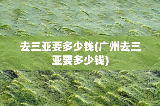 去三亚要多少钱(广州去三亚要多少钱)