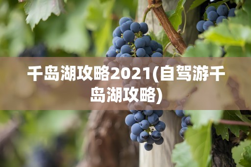 千岛湖攻略2021(自驾游千岛湖攻略)