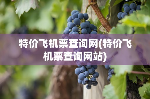 特价飞机票查询网(特价飞机票查询网站)