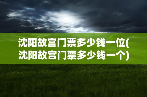 沈阳故宫门票多少钱一位(沈阳故宫门票多少钱一个)