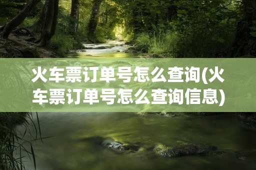 火车票订单号怎么查询(火车票订单号怎么查询信息)