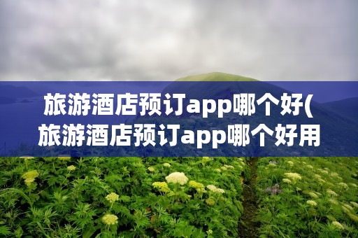 旅游酒店预订app哪个好(旅游酒店预订app哪个好用)