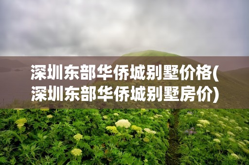 深圳东部华侨城别墅价格(深圳东部华侨城别墅房价)