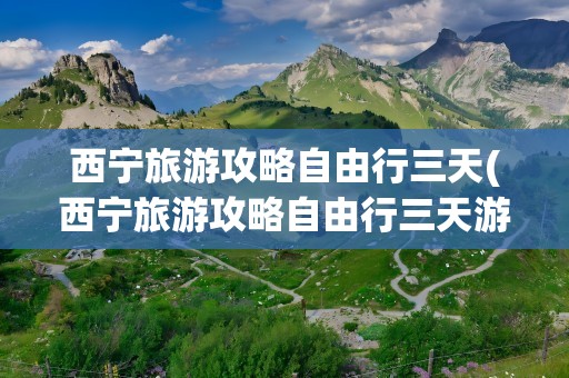 西宁旅游攻略自由行三天(西宁旅游攻略自由行三天游)