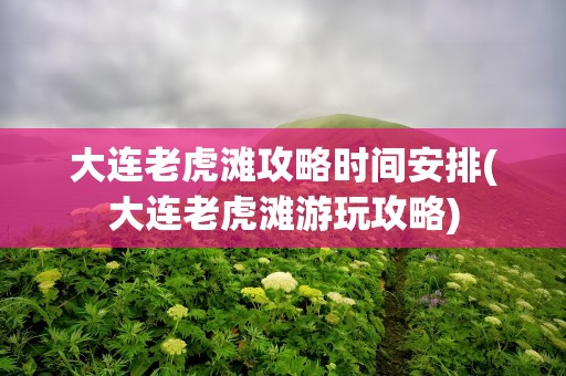 大连老虎滩攻略时间安排(大连老虎滩游玩攻略)