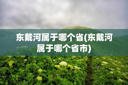 东戴河属于哪个省(东戴河属于哪个省市)