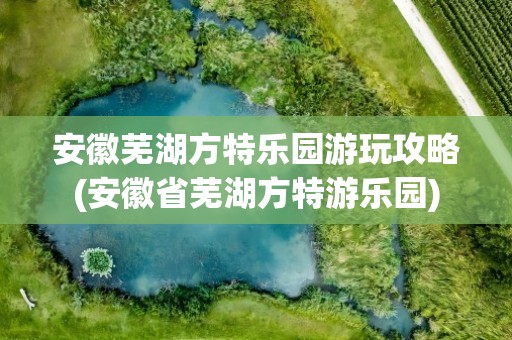 安徽芜湖方特乐园游玩攻略(安徽省芜湖方特游乐园)