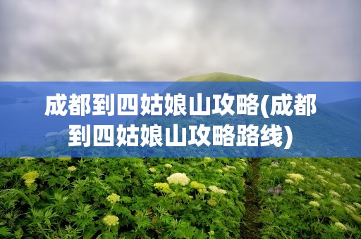 成都到四姑娘山攻略(成都到四姑娘山攻略路线)