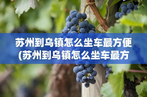 苏州到乌镇怎么坐车最方便(苏州到乌镇怎么坐车最方便快捷)