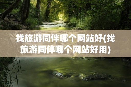 找旅游同伴哪个网站好(找旅游同伴哪个网站好用)